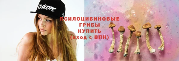 гидра Алзамай
