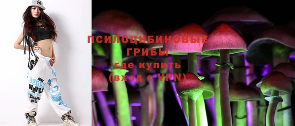 гидра Алзамай
