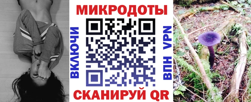 купить   Полысаево  Галлюциногенные грибы мицелий 